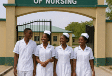 Borno State College of Nursing and Midwifery Maiduguri Past Questions and Answers