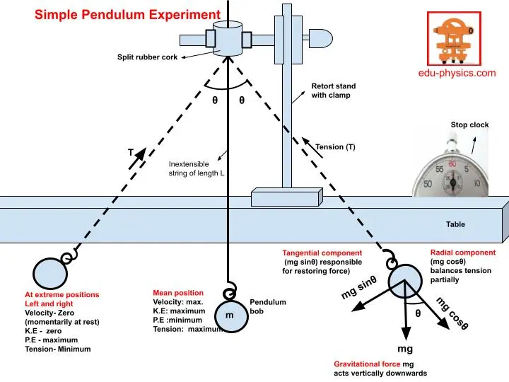 simple pendulum