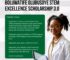 Boluwatife Olubusoye Foundation Scholarship for Undergraduate Nigerian Students 2026